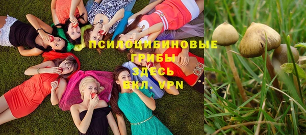 мдма Заволжье