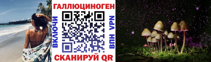 Купить где  Бикин  Псилоцибиновые грибы Psilocybe 